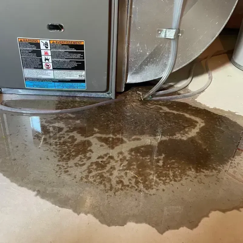 Appliance Leak Cleanup in Bellefontaine Neighbors, MO